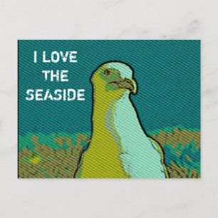Seaside seagull postcard