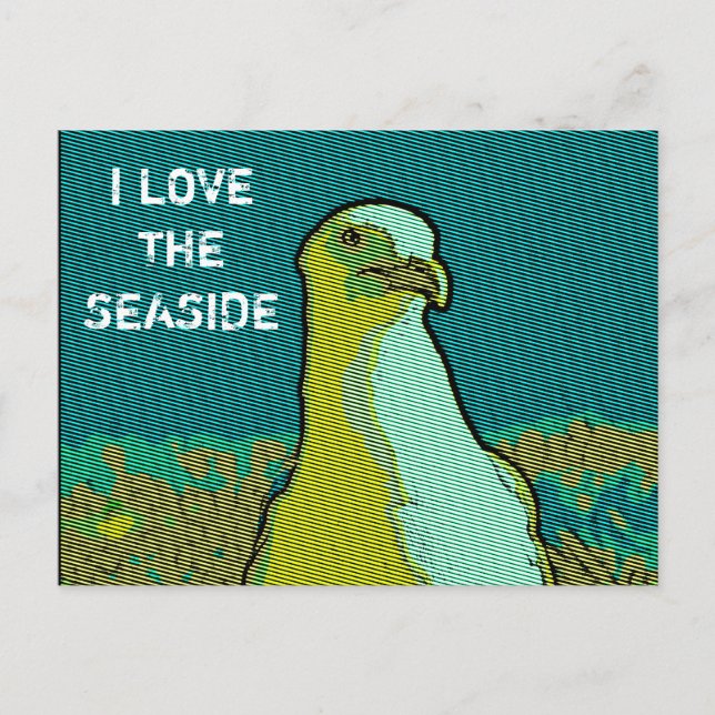 Seaside seagull postcard (Front)