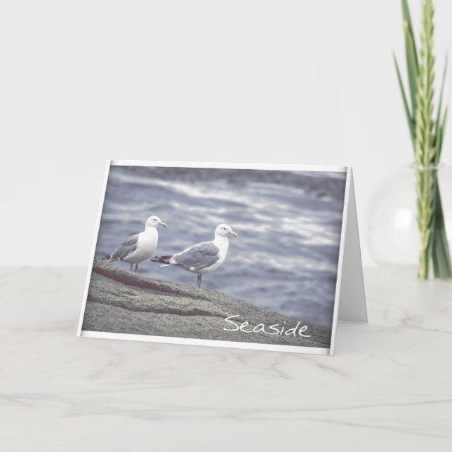 Seaside Seagulls Greeting Card (Front)
