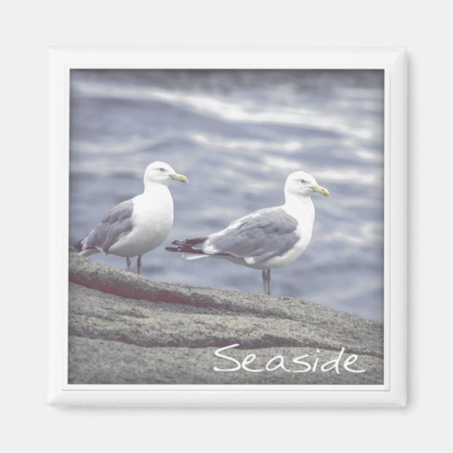 Seaside Seagulls Magnet (Front)