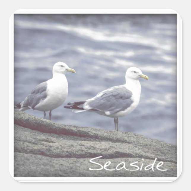 Seaside Seagulls Sticker (Front)