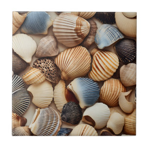 Seaside Seashells Ceramic Tile