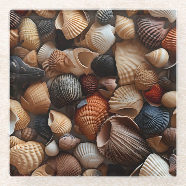 Seaside Seashells Glass Coaster (Front)