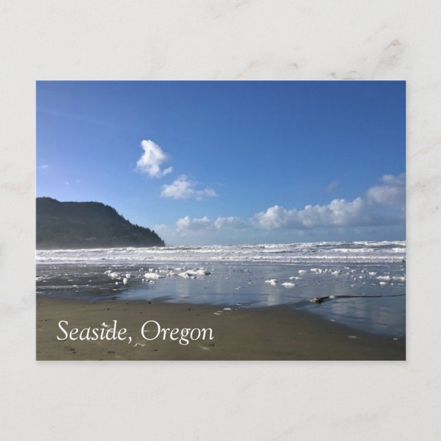 Seaside Shore in Winter Postcard (Front)