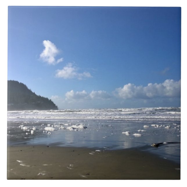 Seaside Shore in Winter Tile (Front)