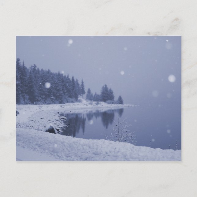 Seaside Snowfall Postcard (Front)