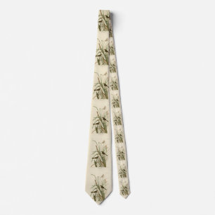 Seaside Sparrow (Finch) Audubon's Birds of America Tie