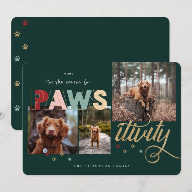 Season For Pawsitivity Fun Pet 3 Photo Collage Holiday Card (Front/Back)
