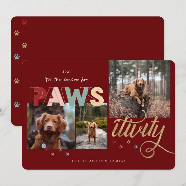 Season For Pawsitivity Fun Pet 3 Photo Collage Holiday Card (Front/Back)