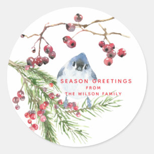 Season Greetings - Christmas Greenery w Bird Classic Round Sticker