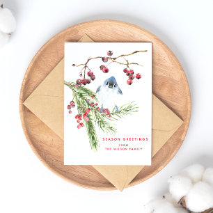 Season Greetings -  Christmas  Greenery w Bird  Postcard