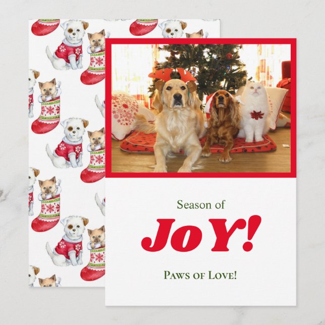 Season Of Joy Xmas Dogs & Cat Pet Photo Red Frame Holiday Card (Front/Back)