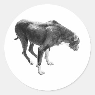 Season of Loyalty Classic Round Sticker