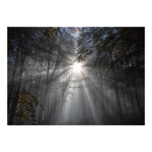 Season of silence photo print