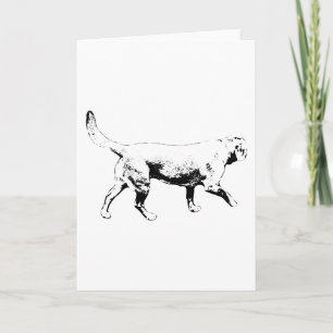 season path companion card