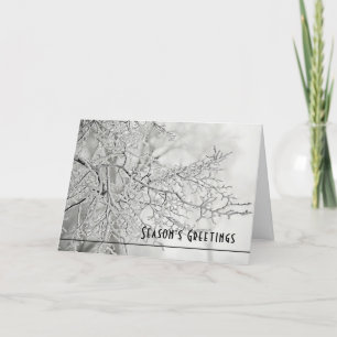 Season’s Greetings Holiday Card