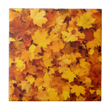 Seasonal Autumn Leaves