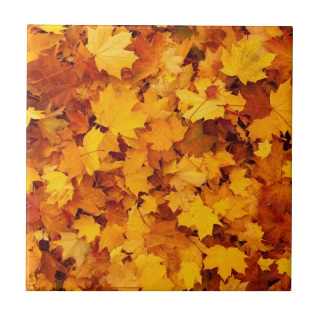 Seasonal Autumn Leaves Tile (Front)