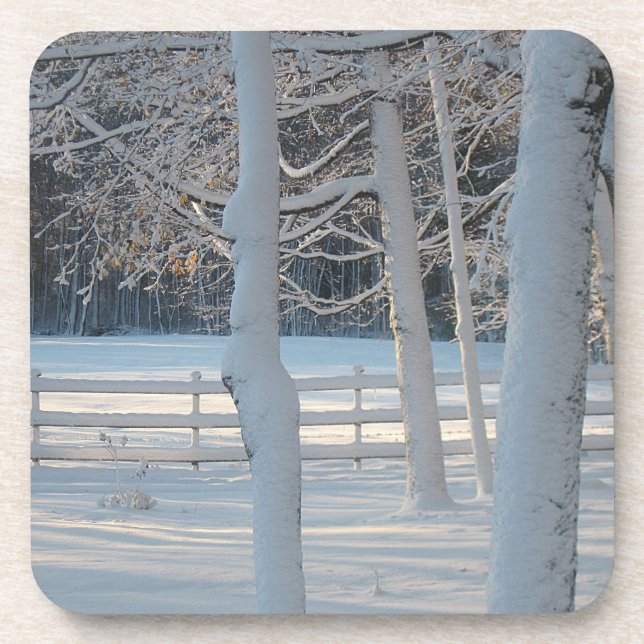 Seasonal Coaster (Front)