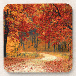 Seasonal colours of autumn coaster