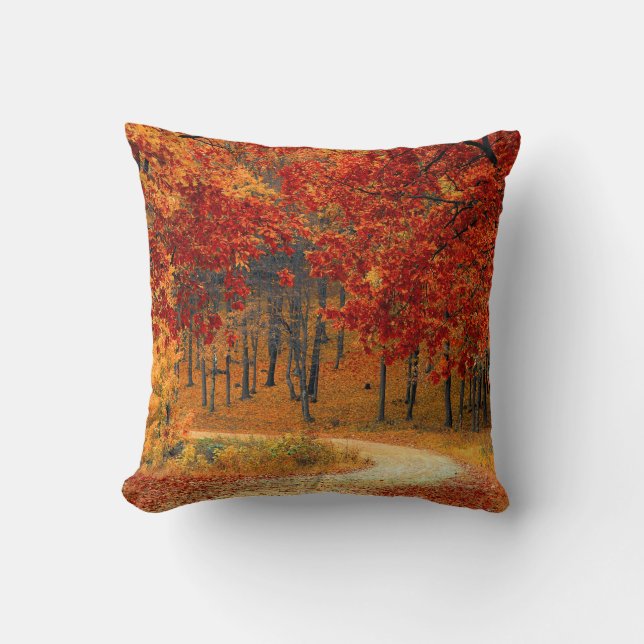 Seasonal colours of Autumn Cushion (Front)