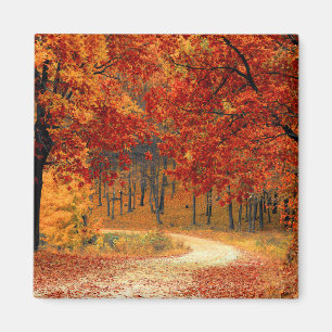 Seasonal colours of autumn magnet
