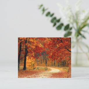 Seasonal Colours of Autumn Postcard