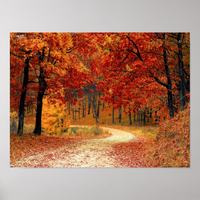Seasonal colours of Autumn Poster (Front)