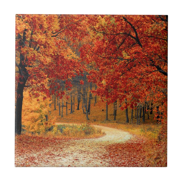 Seasonal colours of Autumn Tile (Front)