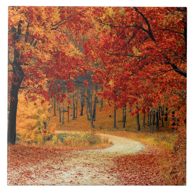Seasonal colours of Autumn  Tile (Front)