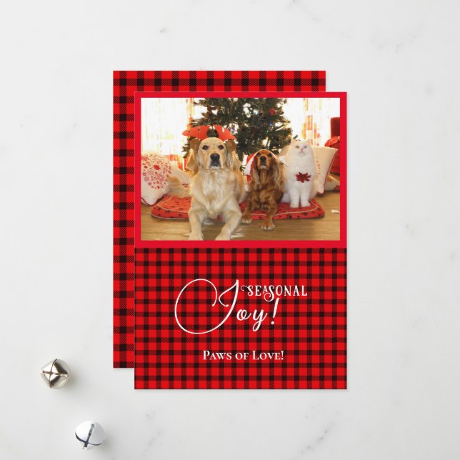 Seasonal Joy Xmas Dogs & Cat Pet Photo Red Frame Holiday Card (Front/Back In Situ)