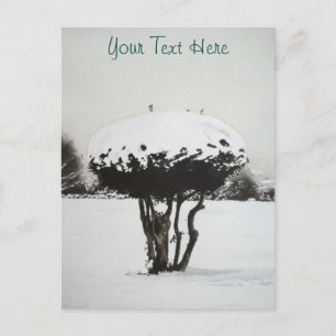 seasonal landscape snow scene at christmas holiday postcard
