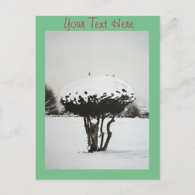 seasonal landscape snow scene at christmas holiday postcard (Front)