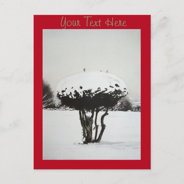 seasonal landscape snow scene at christmas holiday postcard (Front)