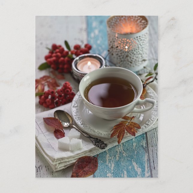 Seasonal romantic autmnal red berries still life postcard (Front)