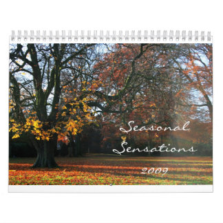 Seasonal Sensations 2009 Calendar