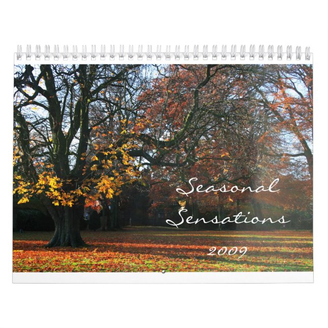 Seasonal Sensations 2009 Calendar (Cover)