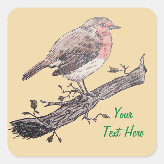 seasonal wildlife robin picture for christmas square sticker (Front)