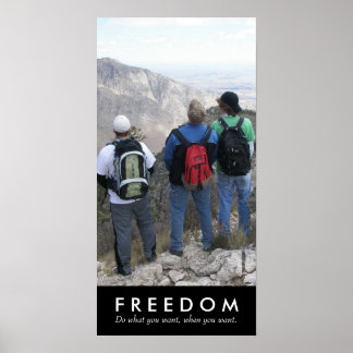 Seasoning Boyz, Freedom Poster