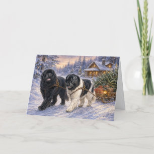 Season's Best Newfie Holiday Card