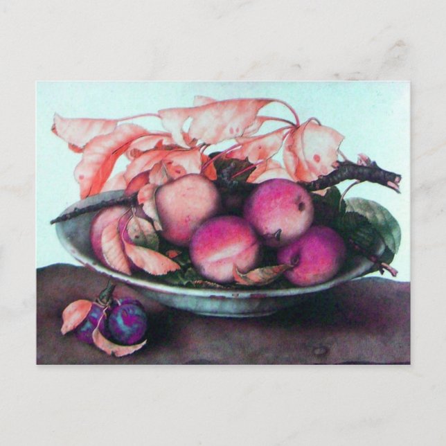 SEASON'S FRUITS 2 POSTCARD (Front)