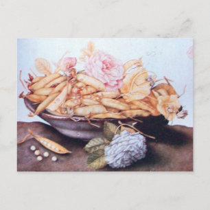 SEASON'S FRUITS 6 - BEANS AND ROSES POSTCARD