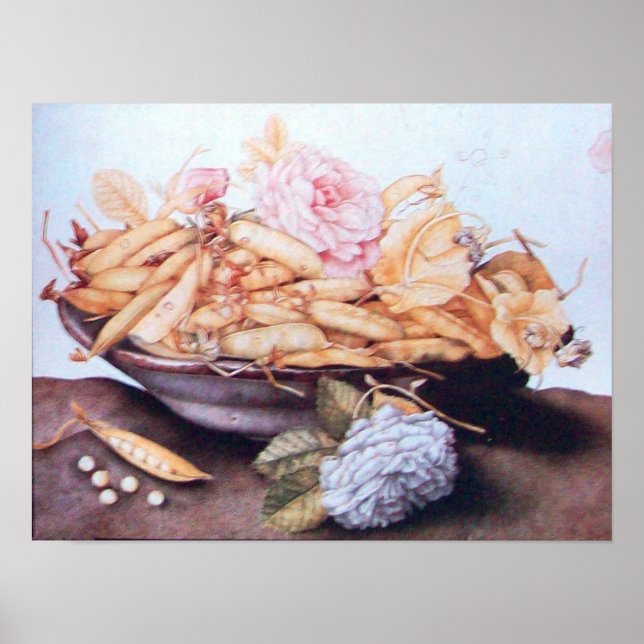 SEASON'S FRUITS 6 - BEANS AND ROSES POSTER (Front)