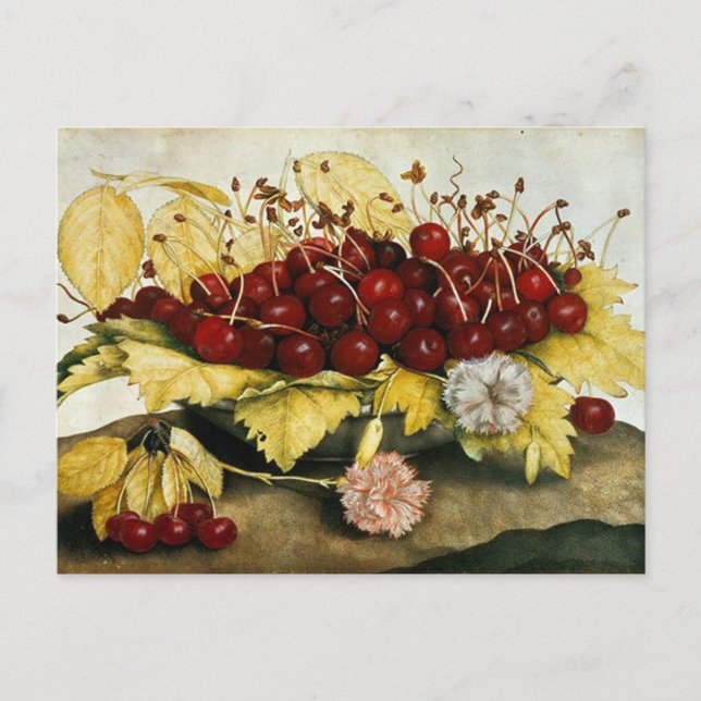 SEASON'S FRUITS / CHERRIES AND CARNATIONS HOLIDAY POSTCARD (Front)