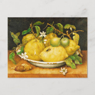 SEASON'S FRUITS LEMONS AND WHITE FLOWERS POSTCARD