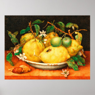 SEASON'S FRUITS LEMONS AND WHITE FLOWERS POSTER