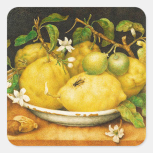 SEASON'S FRUITS LEMONS AND WHITE FLOWERS SQUARE STICKER