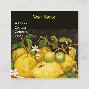 SEASON'S FRUITS, LEMONS AND WHITE FLOWERS Yellow Square Business Card