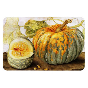 SEASON'S FRUITS  / PUMPKINS MAGNET