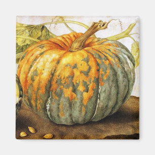SEASON'S FRUITS  / PUMPKINS MAGNET